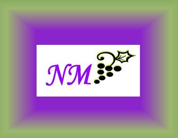 NM Logo